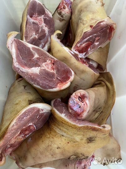 Рагу свиное, кости для собак. Суп-набор