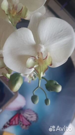 Орхидея искусственная