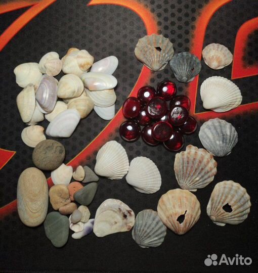 Декоративные камни и ракушки