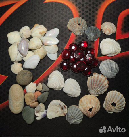 Декоративные камни и ракушки