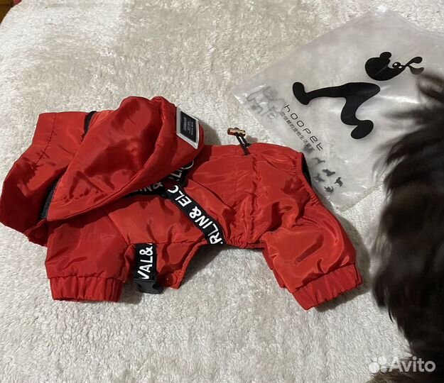 Одежда для маленьких собак