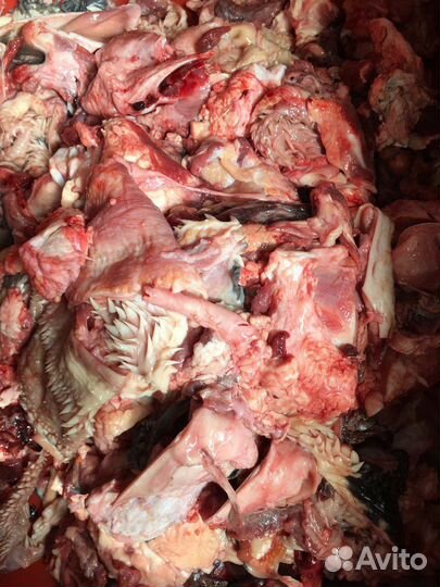 Продам обрезь Говяжью