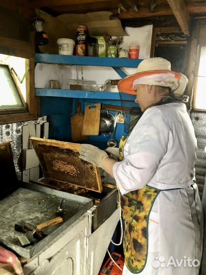 Мед натуральный с личной пасеки