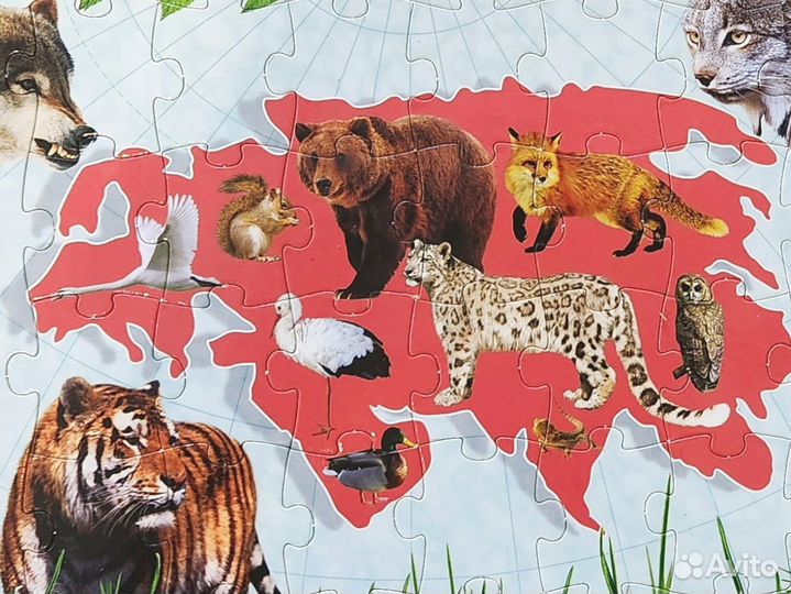 Атлас мира с пазлами