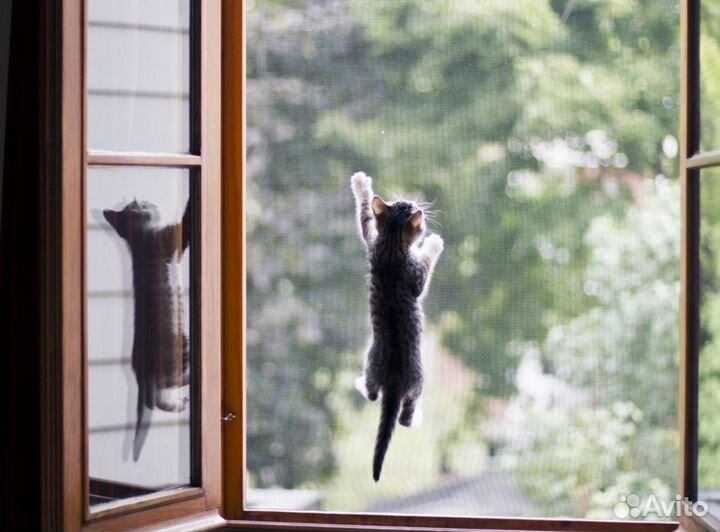 Москитные сетки на окна. Москитная сетка на дверь