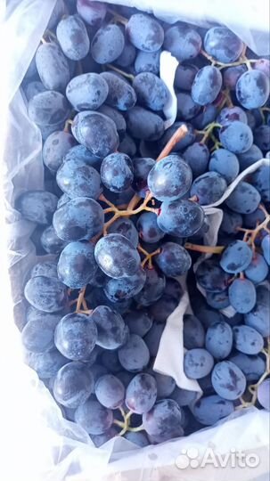 Продам готовую фирму ооо