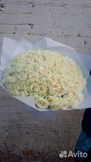 Цветы. букеты 25 51 101 201 Роза