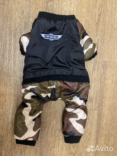 Костюм для собаки