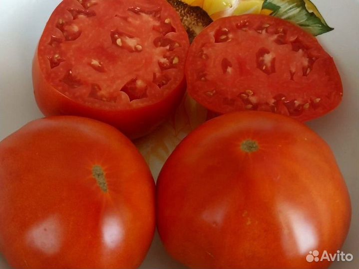 Семена помидор вкуснейших и урожайных 