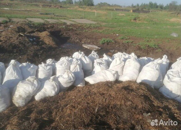 Конский навоз