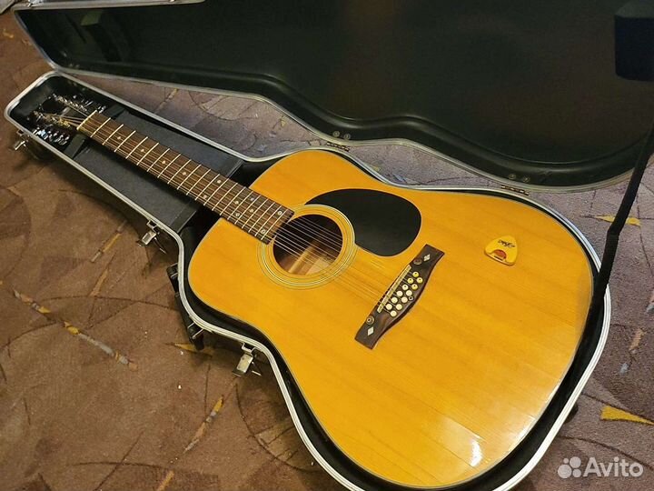 12 струнная гитара