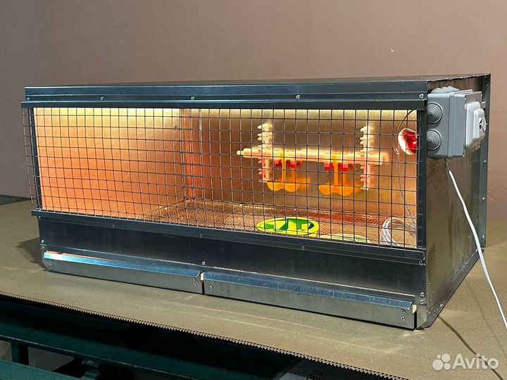 Брудер для цыплят