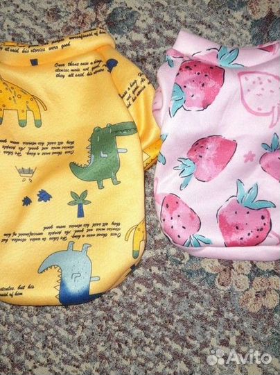 Одежда для собак мелких пород