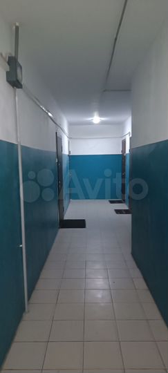 3-к. квартира, 66,5 м², 2/3 эт.