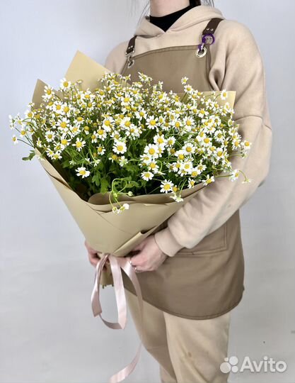Букет 25 Кустовых Ромашек в матовой бумаге