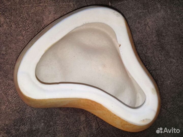 Ракушки декоративные