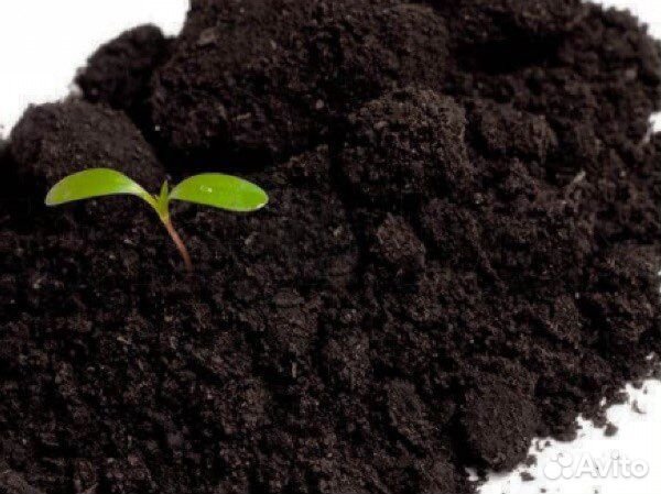 Земля плодородная