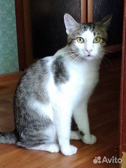 Лёлик осиротел