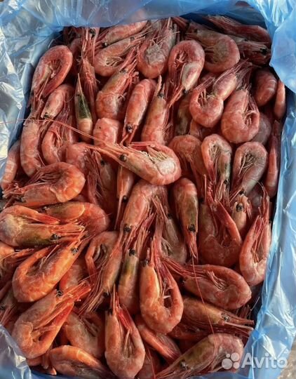 Креветка северная вкусная