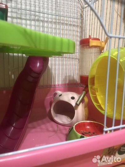 Клетка для грызунов