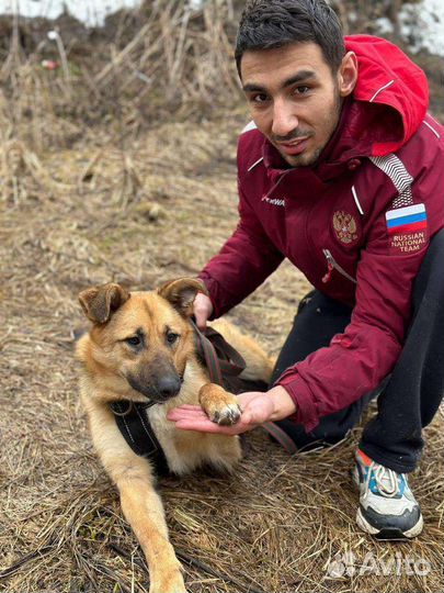 Подросток Бублик грустит в приюте