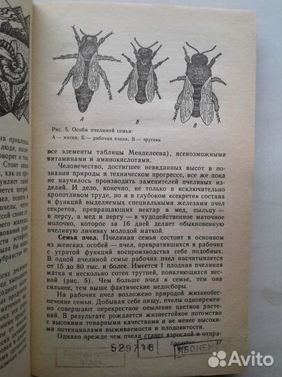 Пчеловодство