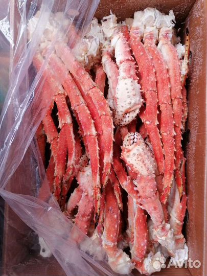 Краб Камчатский, стригун, волосатик