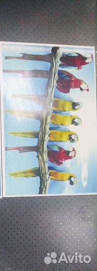 Печатающая головка epson l850