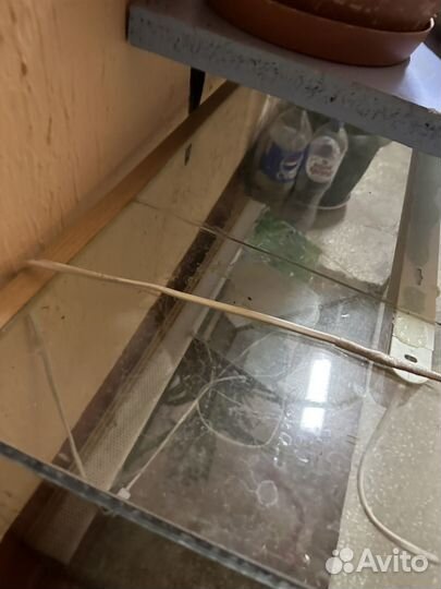 Террариум для рептилий