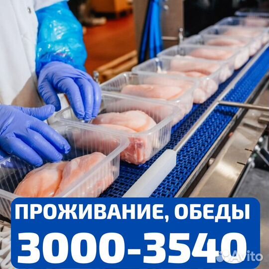 Выезд из Чебоксар, вахта Нижний Новгород упаковщик