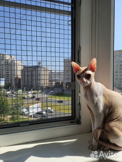 Оконная решетка съемная антикошка