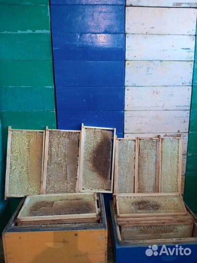 Рамки для пчел