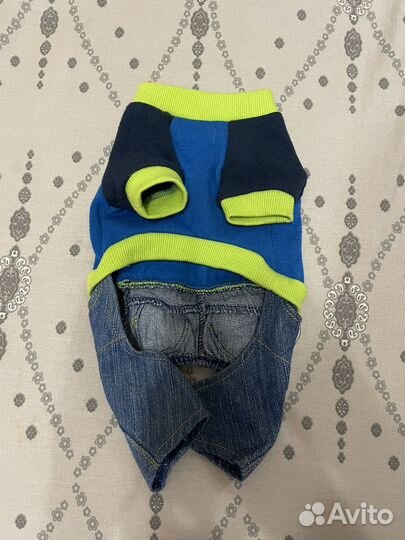 Одежда для собак