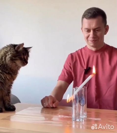 Репетитор по химии. Улучшение успеваемости Онлайн