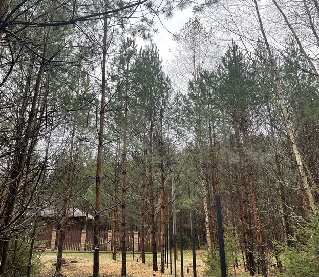 Участок 22,2 га (ИЖС)