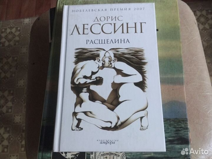 Дорис Лессинг Расщелина