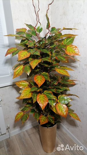 Осенний авокадо, искусственный