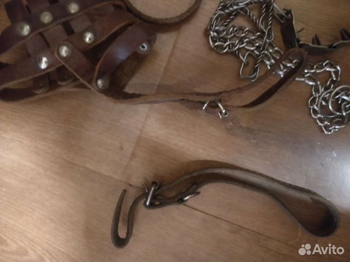 Принадлежности для средних собак