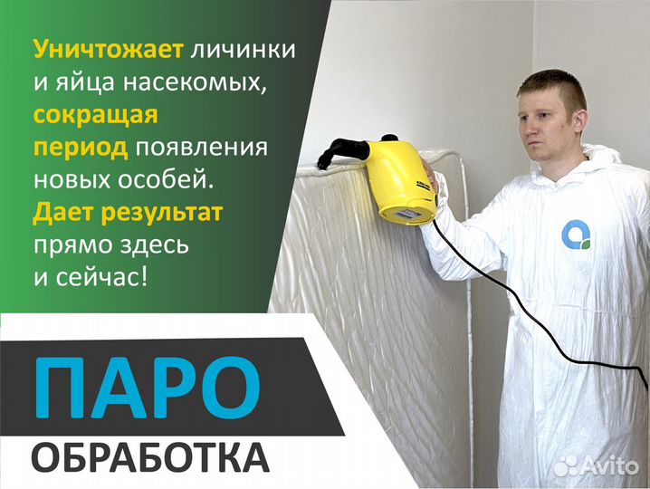 Дезинфекция