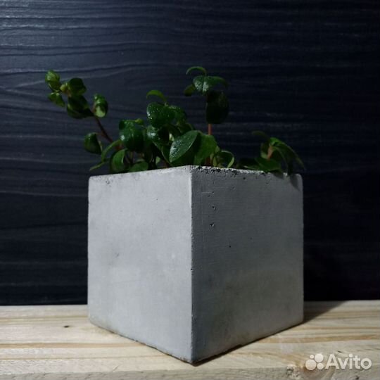 Кашпо для цветов на 1 литр, авито доставка 26