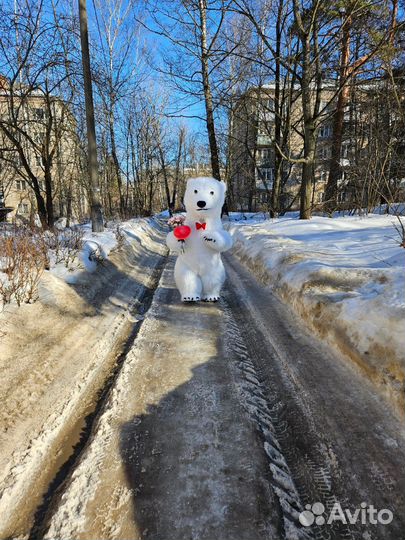 Белый мишка поздравление