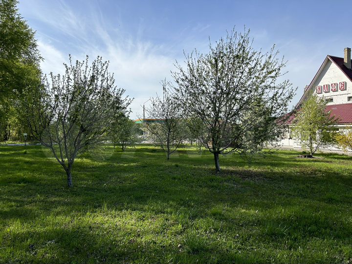 Общепит, 270 м²