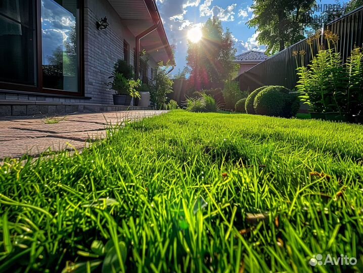 Газон в рулонах премиум под ключ
