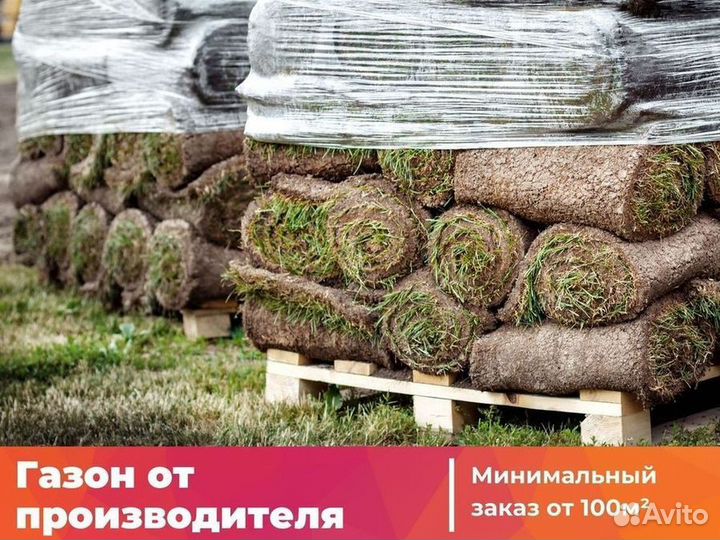Рулонный газон от производителя стандарт