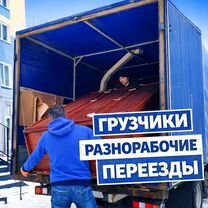 Грузчики и Разнорабочие, Выборг