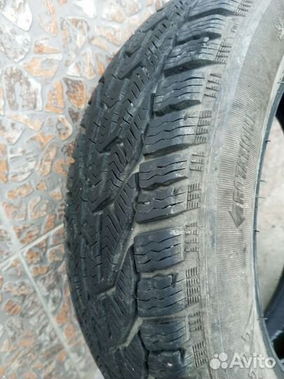 Tigar Winter 185/65 R15 92T