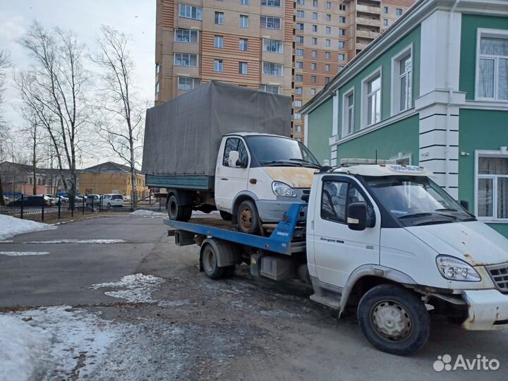 И газель и целиком