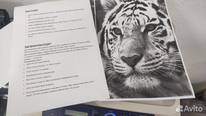 Принтер мфу