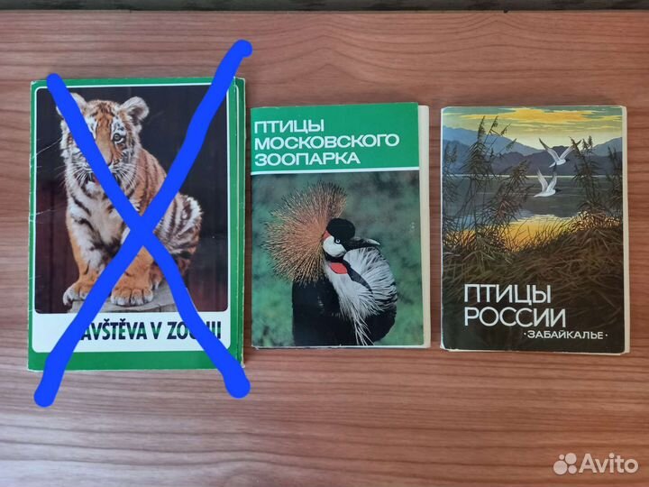 Наборы открыток Птицы