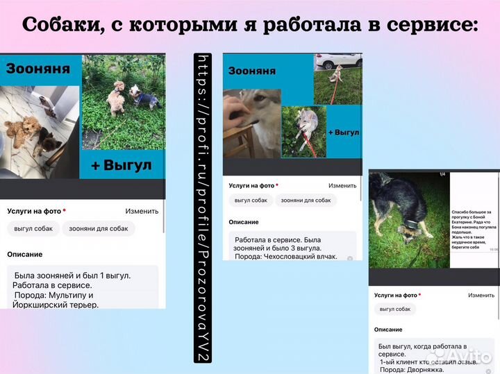 Выгул собак. Щукинская – Планерная